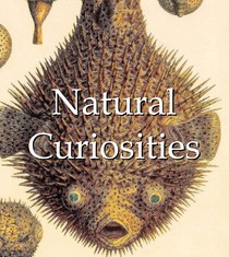 Natural Curiosities 英文版